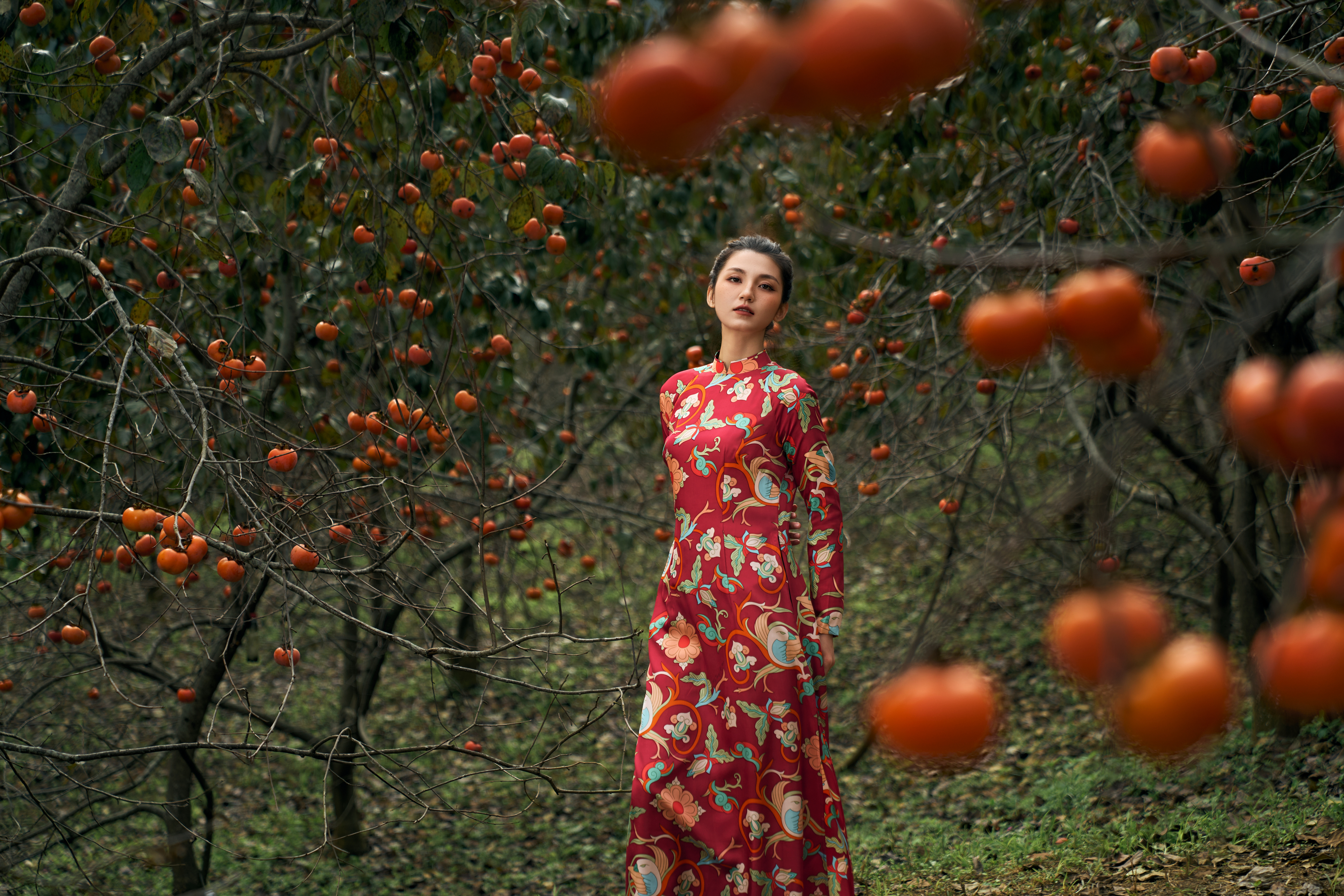 Ứng dụng từ lụa vào cuộc sống: Khi chất liệu truyền thống hòa cùng nhịp sống hiện đại