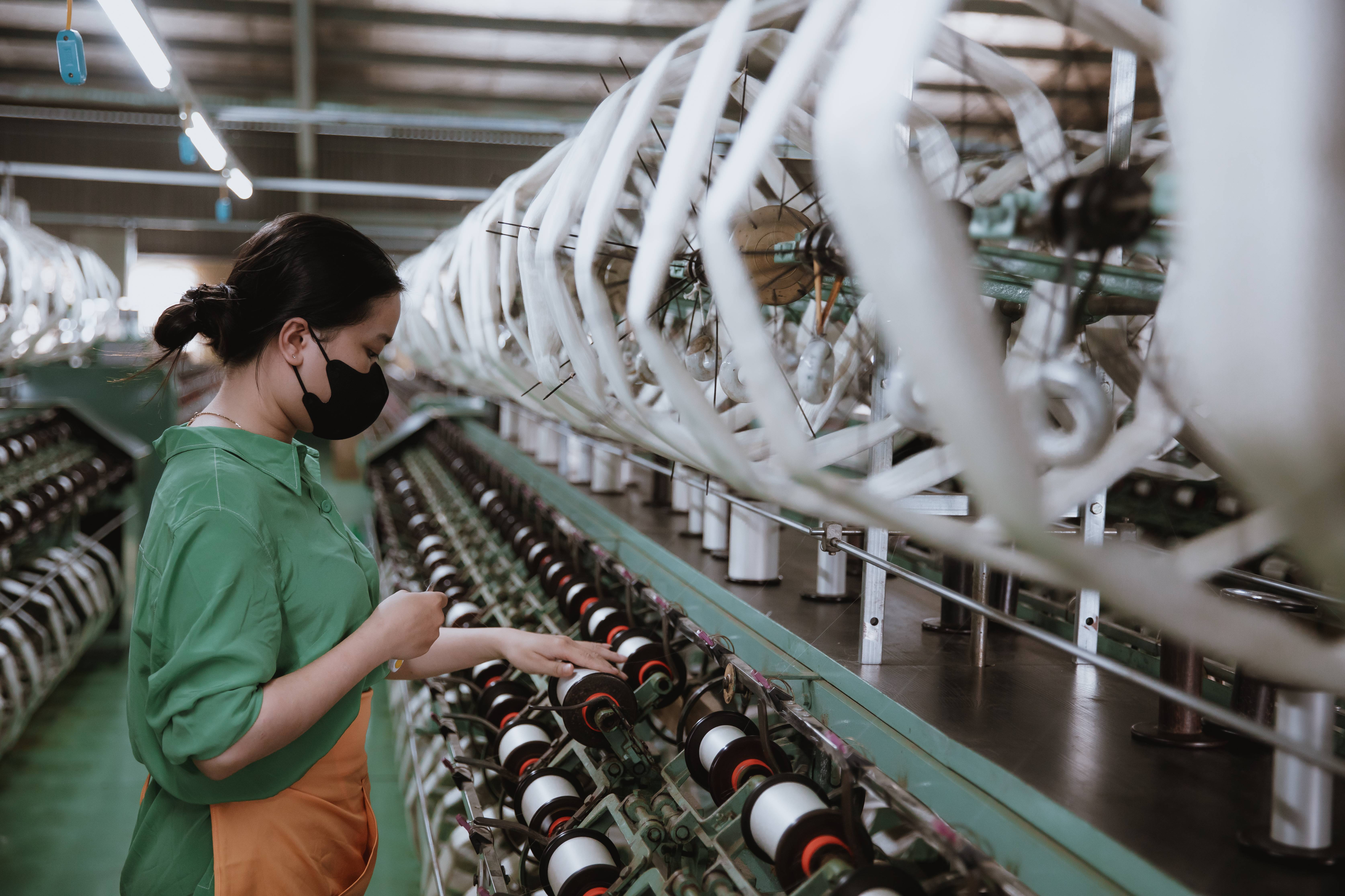 Khám phá hệ sinh thái dâu – tằm – tơ khép kín, đạt chuẩn tại Bảo Lộc